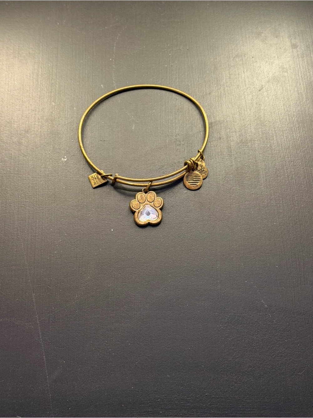 Alex and Ani Paw Charm Bangle Bracelet